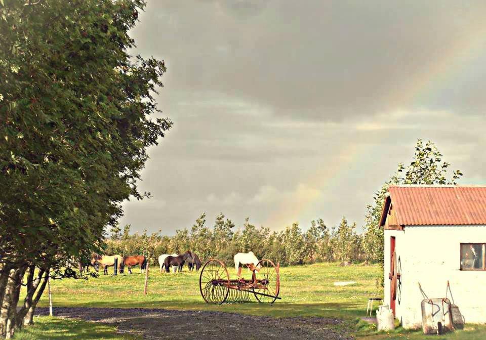Rauthuskrithur Farm Holmabaeir Exterior foto